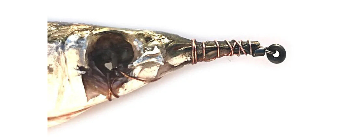 Billfish (M) Rigged Soft Head Ballyhoo 6pk