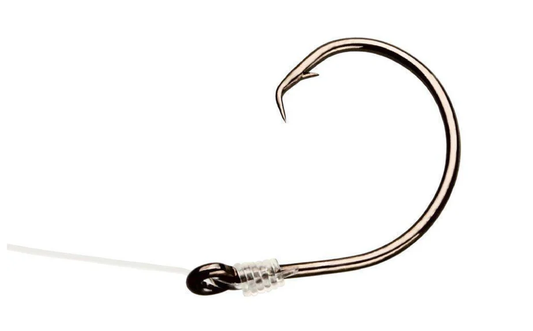 Circle Hook Rigs